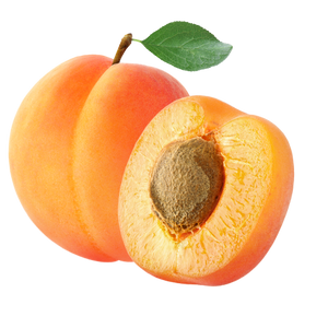 Apricot Fruit Extractimage