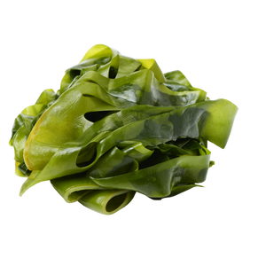 Seaweed Extractimage