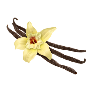 Vanilla Extractimage